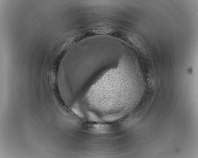 X0000090490371200707272345