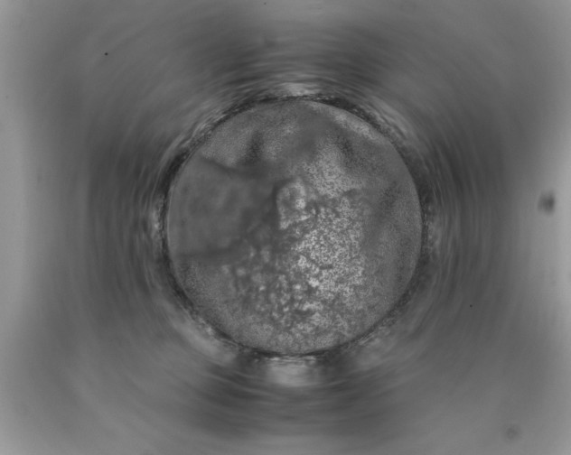 X0000090490373200707272345