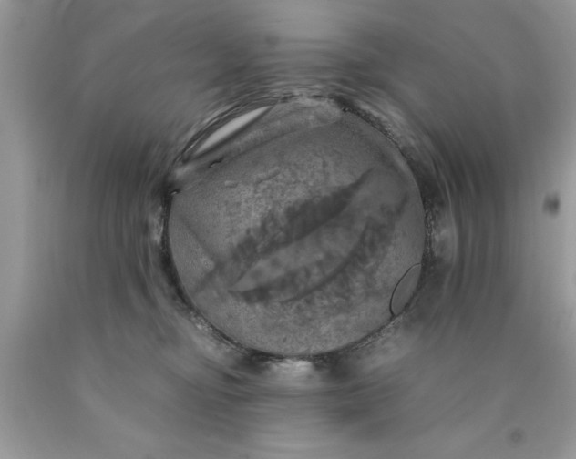 X0000090490374200707272345