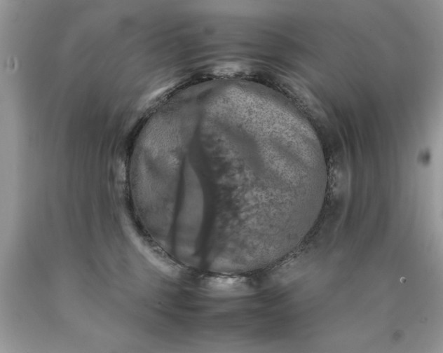X0000090490375200707272345