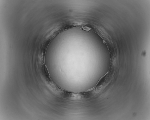 X0000090490376200707272345