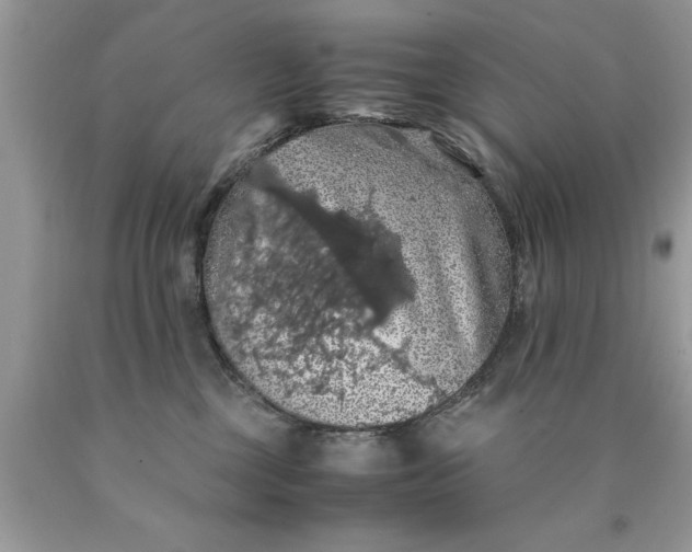 X0000090490377200707272345