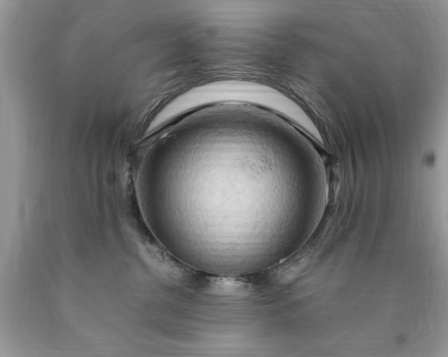 X0000090490380200707272346