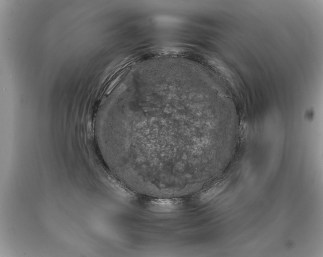 X0000090490381200707272346
