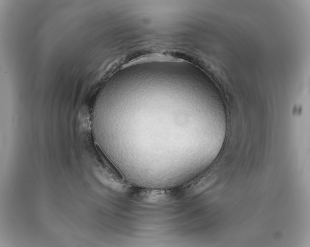 X0000090490384200707272346