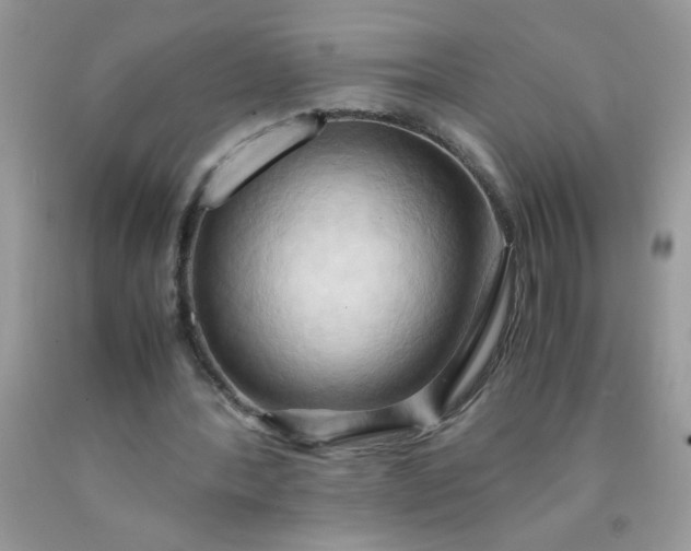 X0000090490388200707272345
