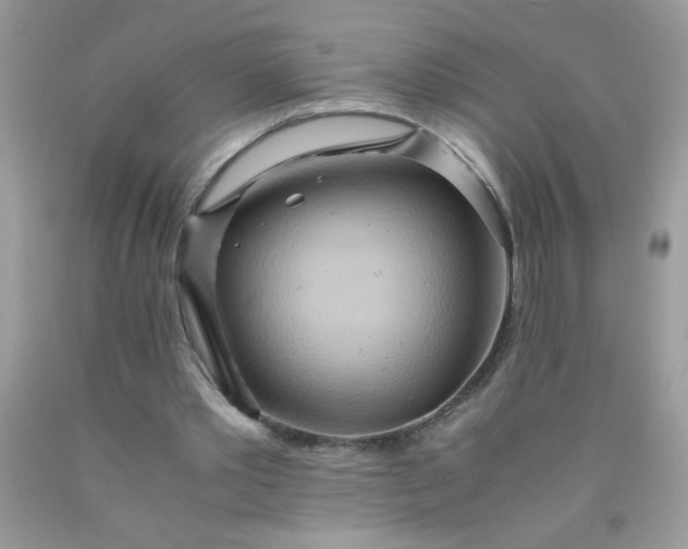 X0000090490389200707272345