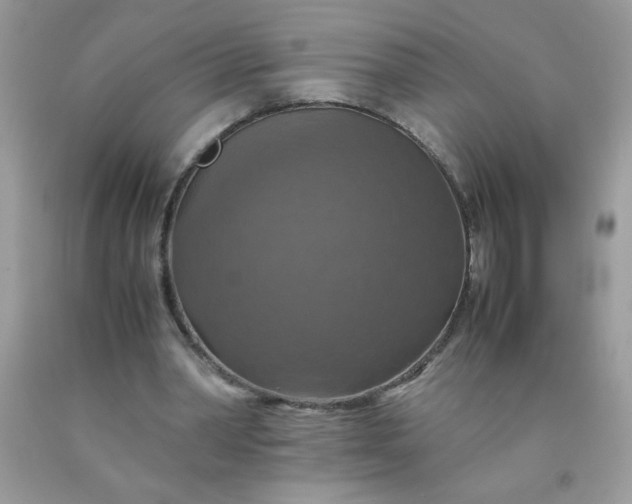 X0000090490390200707272345