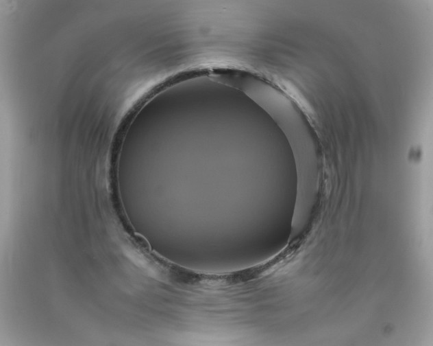 X0000090490391200707272345