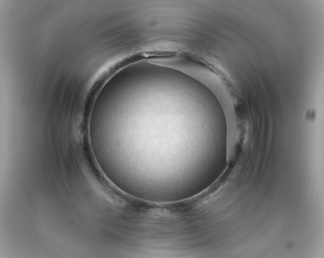 X0000090490392200707272345