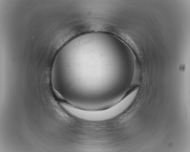 X0000090490393200707272345