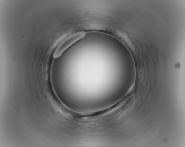 X0000090490395200707272345