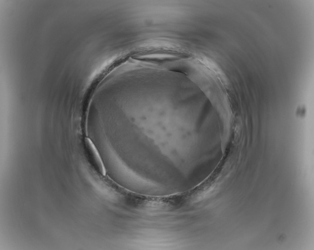 X0000090490399200707272345