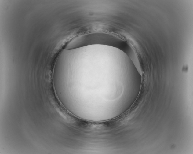 X0000090490401200707272345