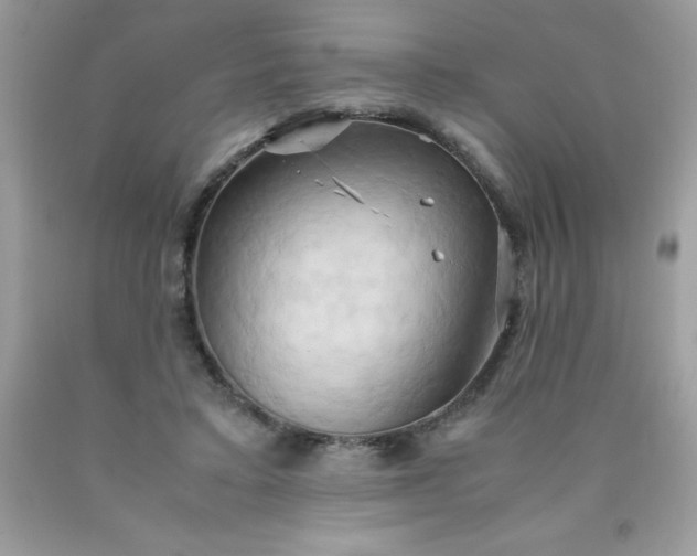 X0000090490403200707272345