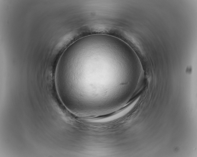 X0000090490407200707272345
