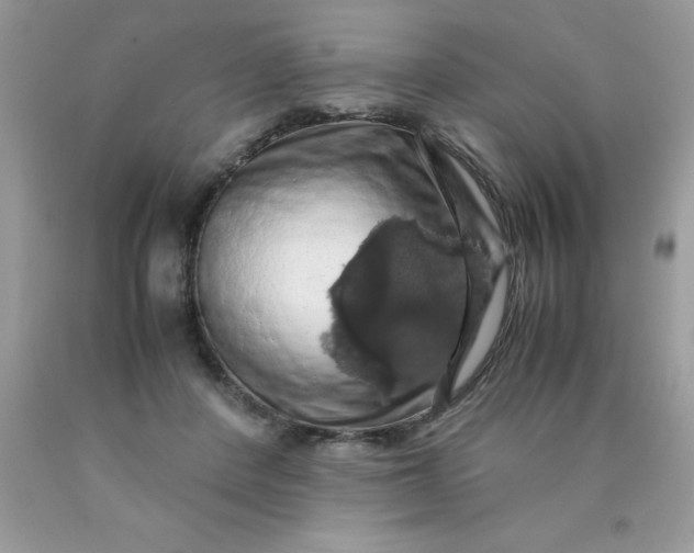 X0000090490408200707272345