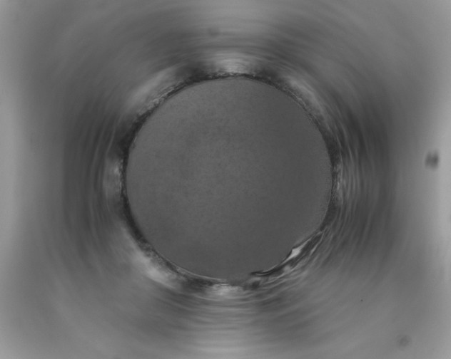 X0000090490410200707272344