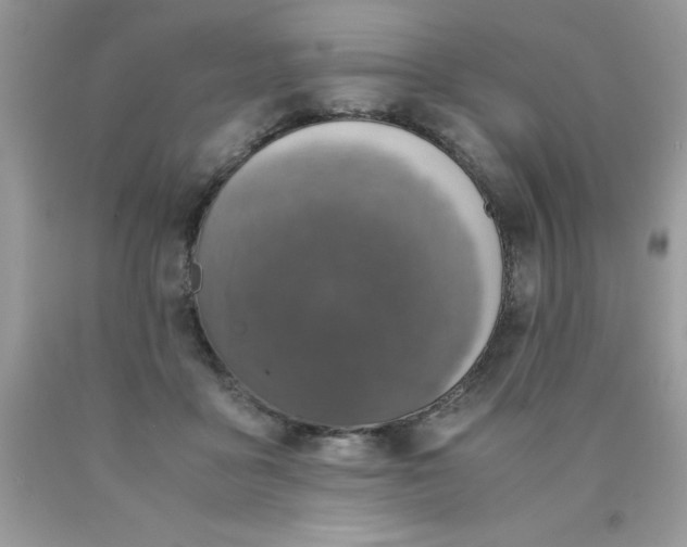 X0000090490411200707272344