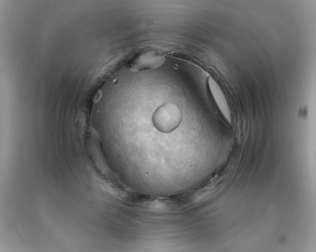 X0000090490412200707272344