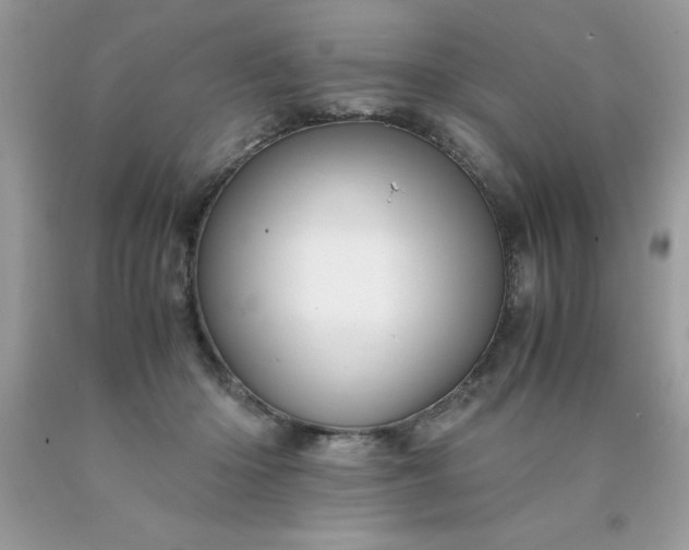 X0000090490414200707272344