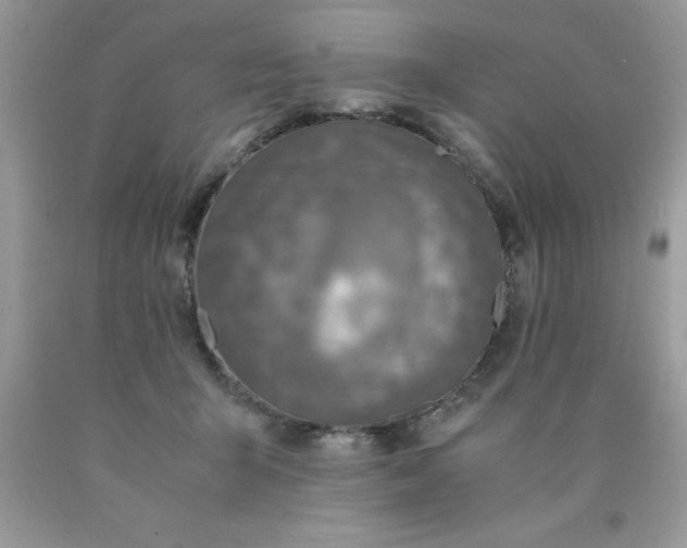 X0000090490415200707272344