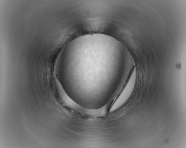 X0000090490416200707272344