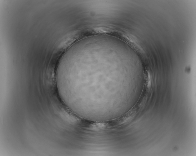 X0000090490418200707272344