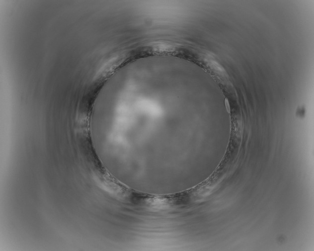 X0000090490419200707272344