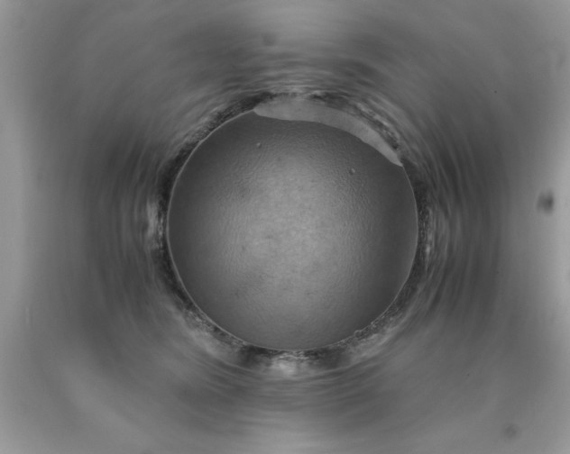 X0000090490420200707272344