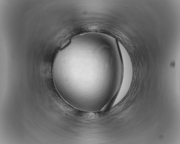 X0000090490421200707272344