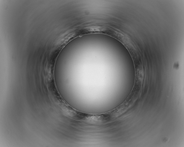 X0000090490422200707272344