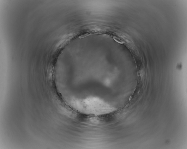 X0000090490423200707272344