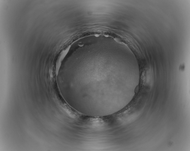 X0000090490424200707272344