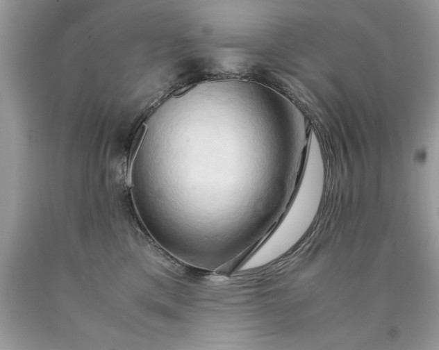 X0000090490425200707272344
