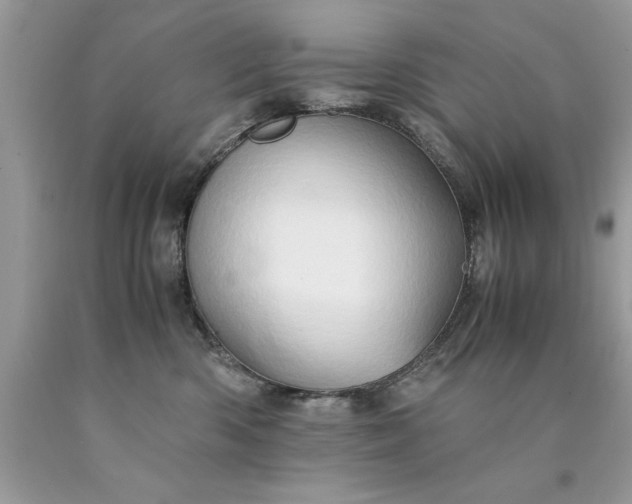 X0000090490426200707272344