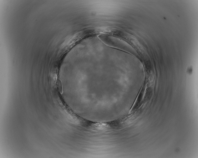 X0000090490427200707272344