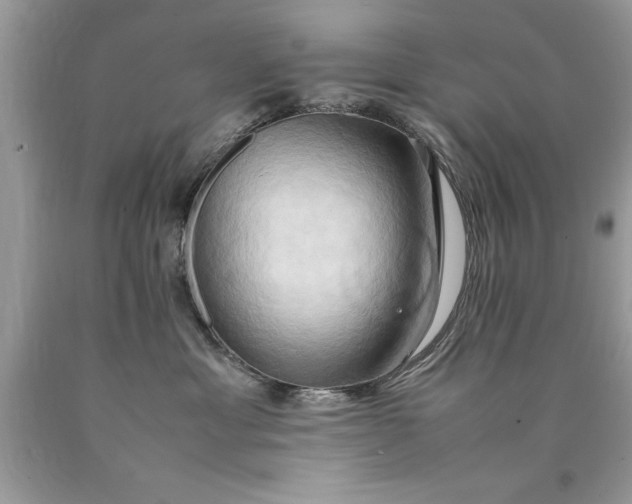 X0000090490429200707272344