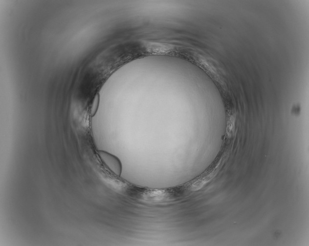 X0000090490431200707272344