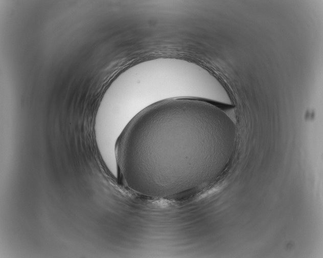 X0000090490432200707272344