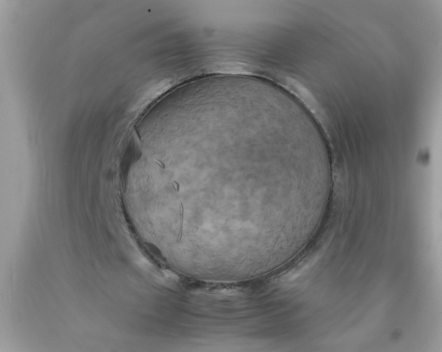 X0000090490433200707272344