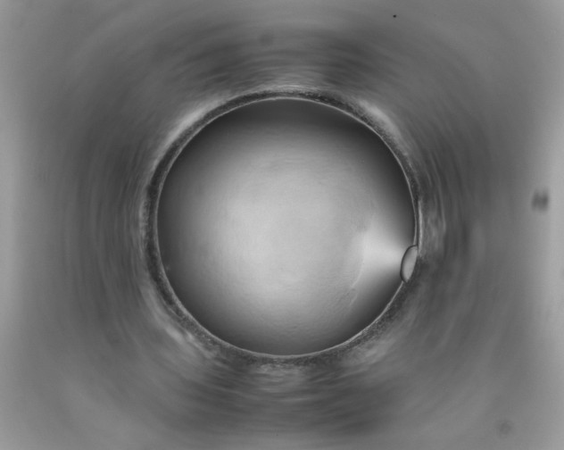 X0000090490435200707272344