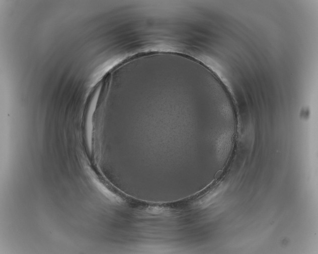 X0000090490437200707272344