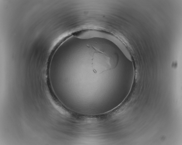 X0000090490438200707272344