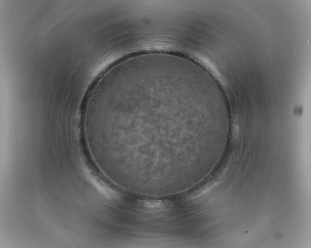 X0000090490439200707272344