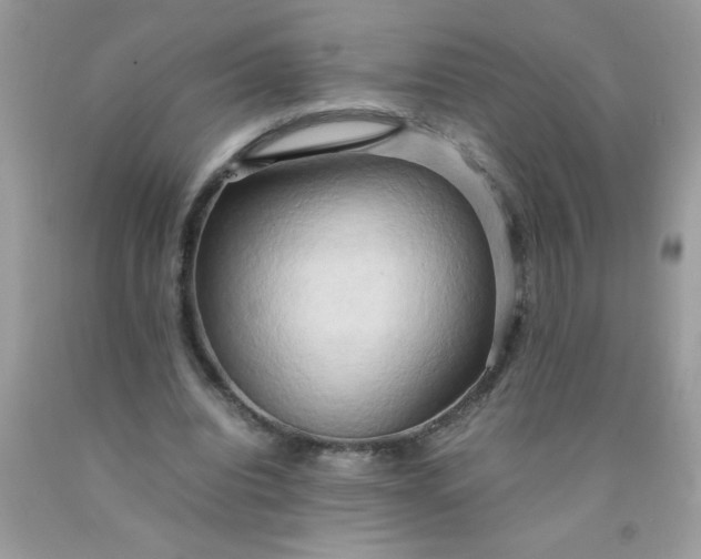 X0000090490440200707272344