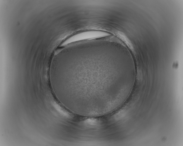X0000090490441200707272344