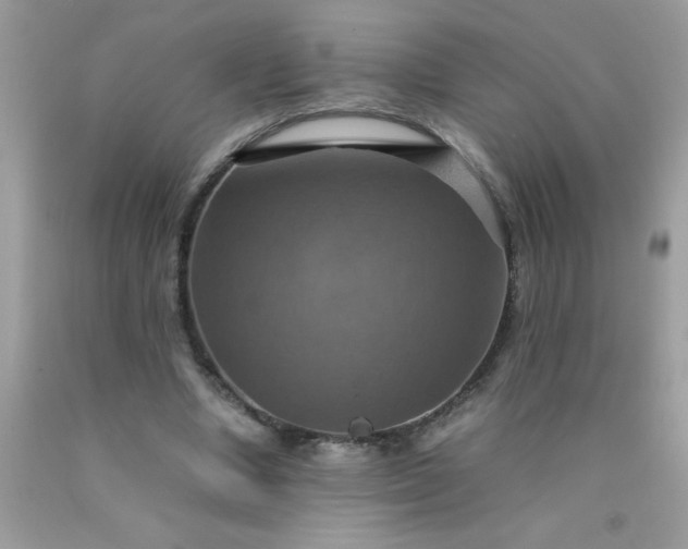 X0000090490442200707272344