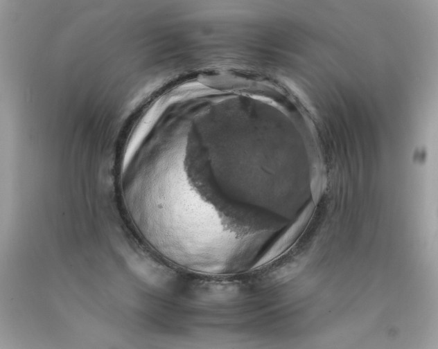 X0000090490443200707272344