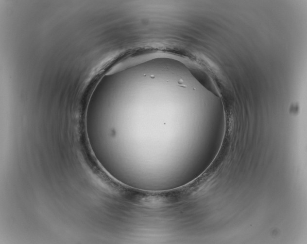 X0000090490444200707272344